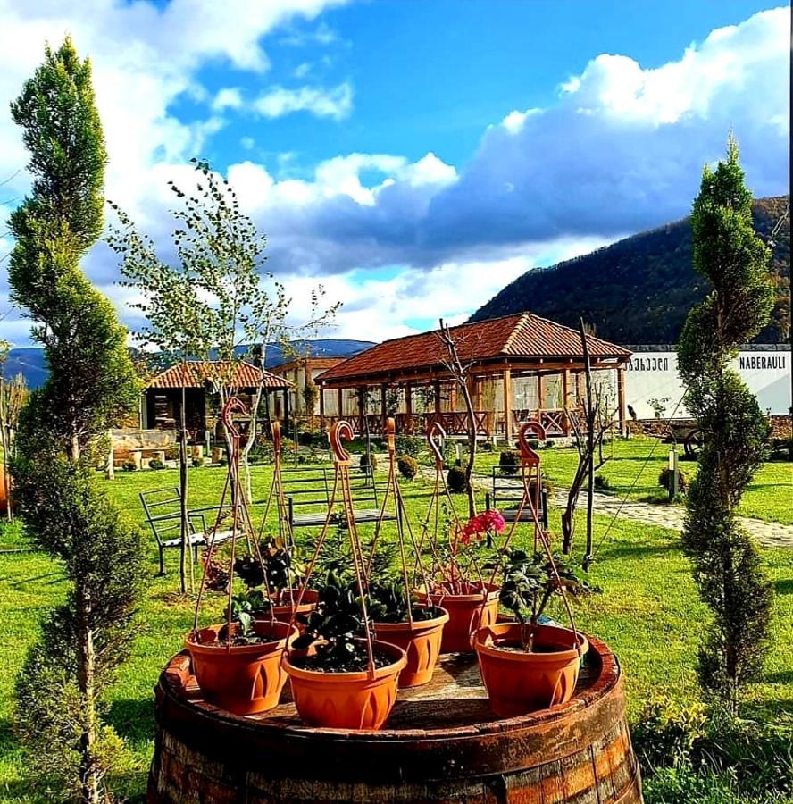Hotel Karse Ambrolauri Exteriér fotografie