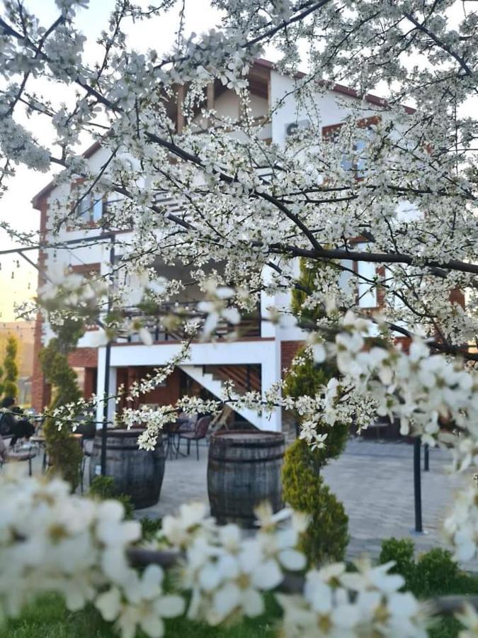 Hotel Karse Ambrolauri Exteriér fotografie